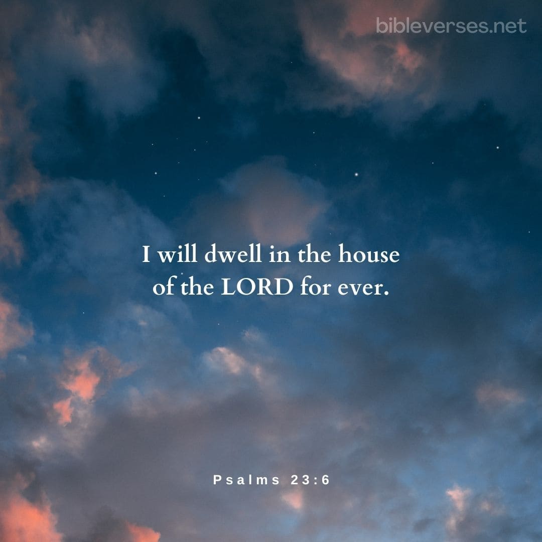 Psalms 23:6 - Bibleverses.net