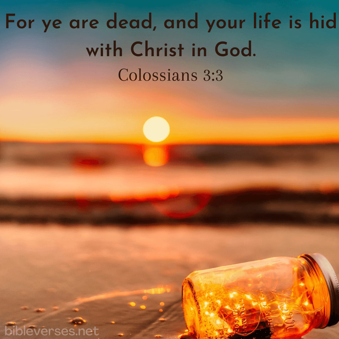 January 27 2023 Daily Bible Verse Bibleverses january-27-2023-daily-bible-verse-bibleverses