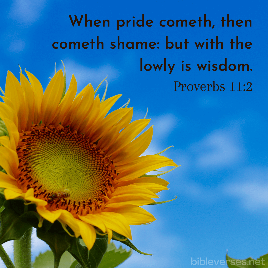 June 25 2023 daily bible verse bibleverses