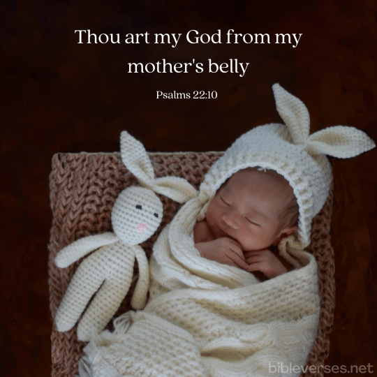 psalms-22-10-king-james-version-kjv