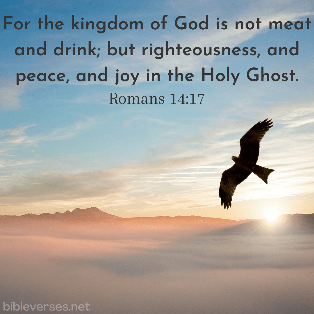 romans 5 14 17