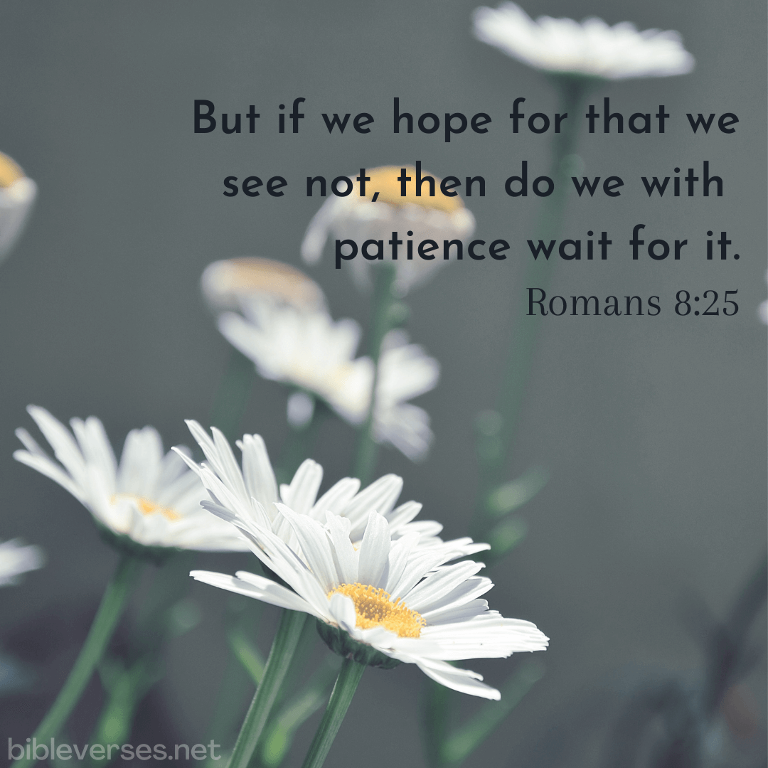 January 09 2023 Daily Bible Verse Bibleverses january-09-2023-daily-bible-verse-bibleverses